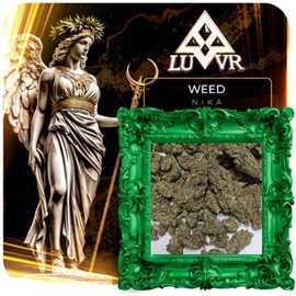 🍀NIKA (White Widow|THC)